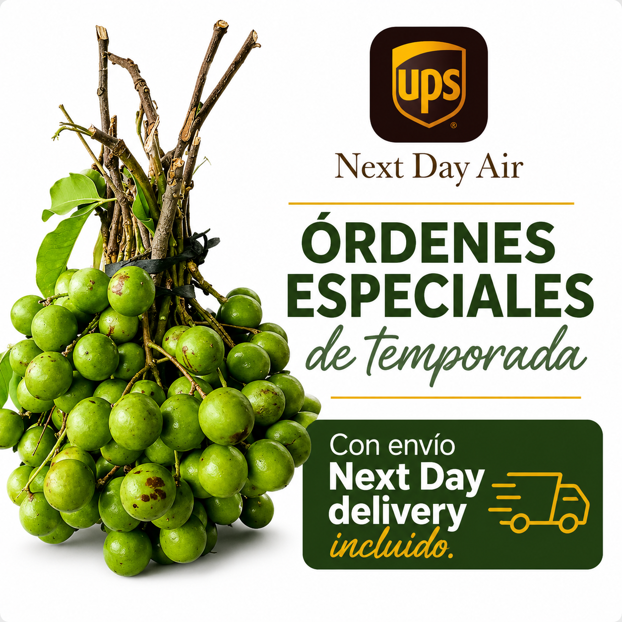 Orden Especial Personalizada Quenepas 7 libras UPS NDD