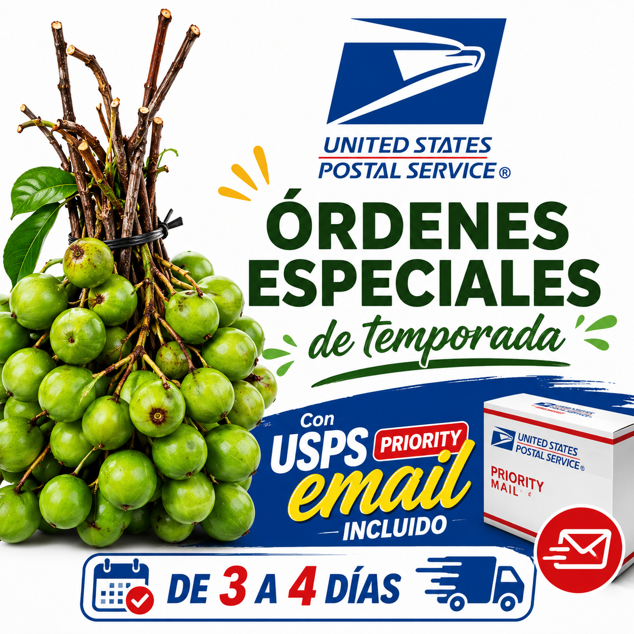 Orden pequeña de Quenepas 3 libras USPS. (Envíos lunes y martes)